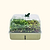 EZ Microgreens Planter