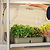 EZ Microgreens Planter