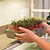 EZ Microgreens Planter
