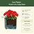 vego-garden-Self-Watering-Mini-Planter-Pot-with-Trellis