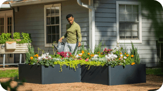 Vego Garden photo 15