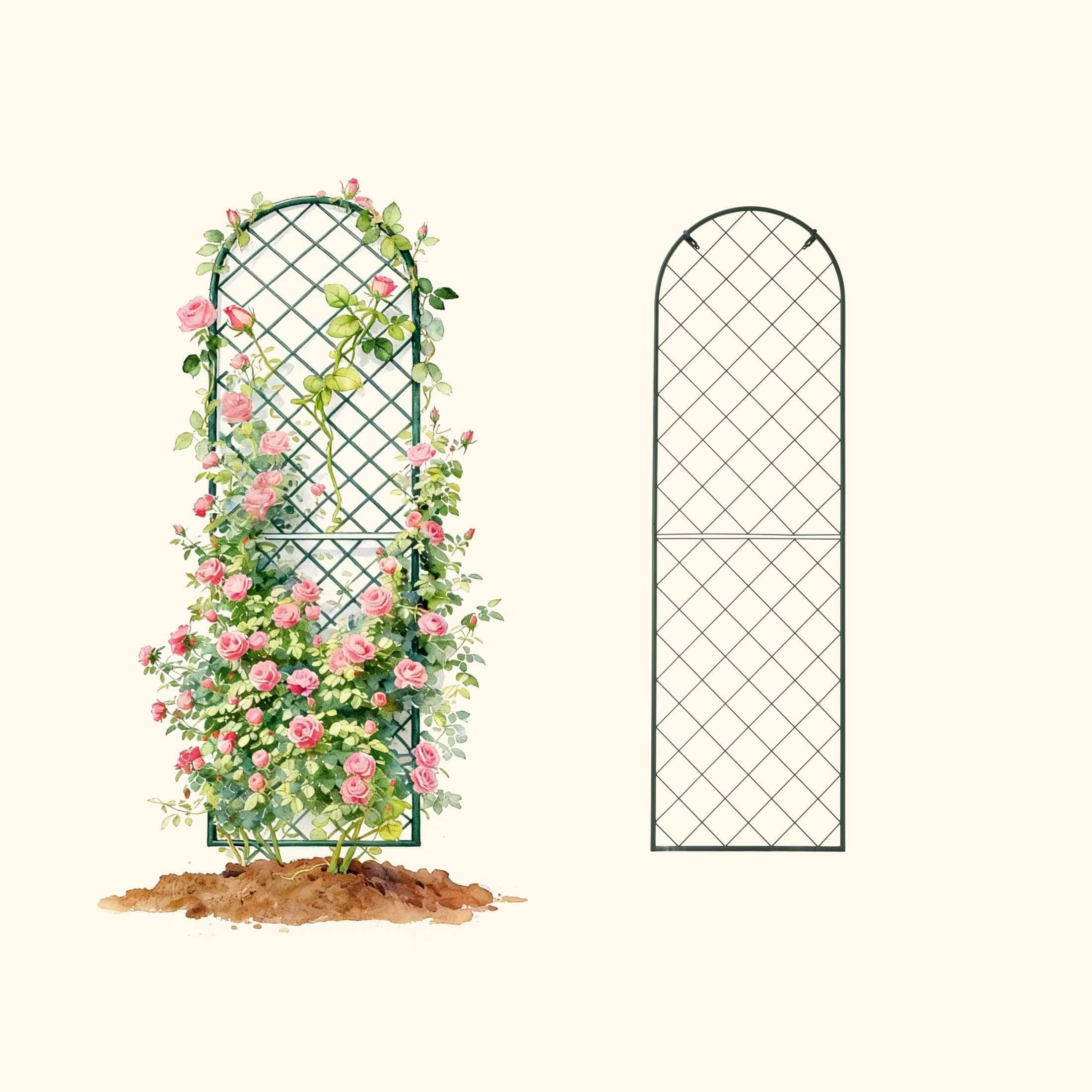 climbing plant wall trellis Mounted Wall Trellis | Vertical Garden for Fences & Walls