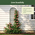 Mounted Wall Trellis | Vego Garden