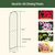 Mounted Wall Trellis | Vego Garden