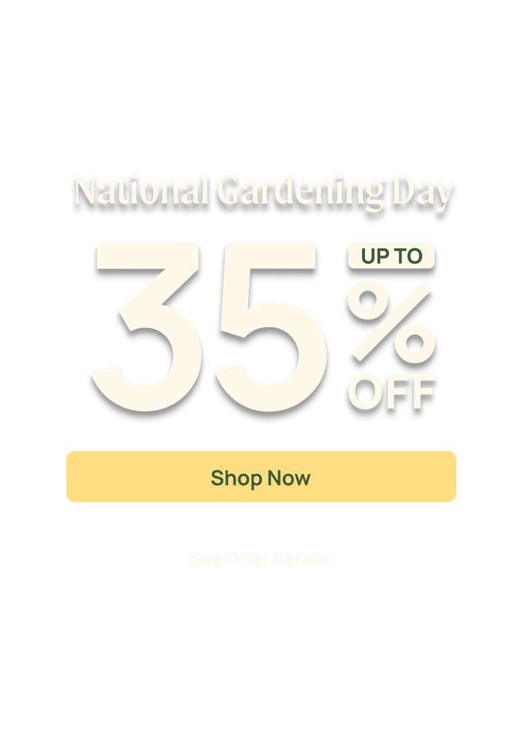 Vego Garden Video Banner