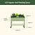 Elevated Garden Bed | Vego Garden