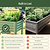 Elevated Garden Bed | Vego Garden