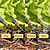 Mist Nozzle for Irrigation Kit | Vego Garden