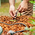 Mist Nozzle for Irrigation Kit | Vego Garden