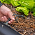 Mist Nozzle for Irrigation Kit | Vego Garden