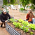 Mist Nozzle for Irrigation Kit | Vego Garden
