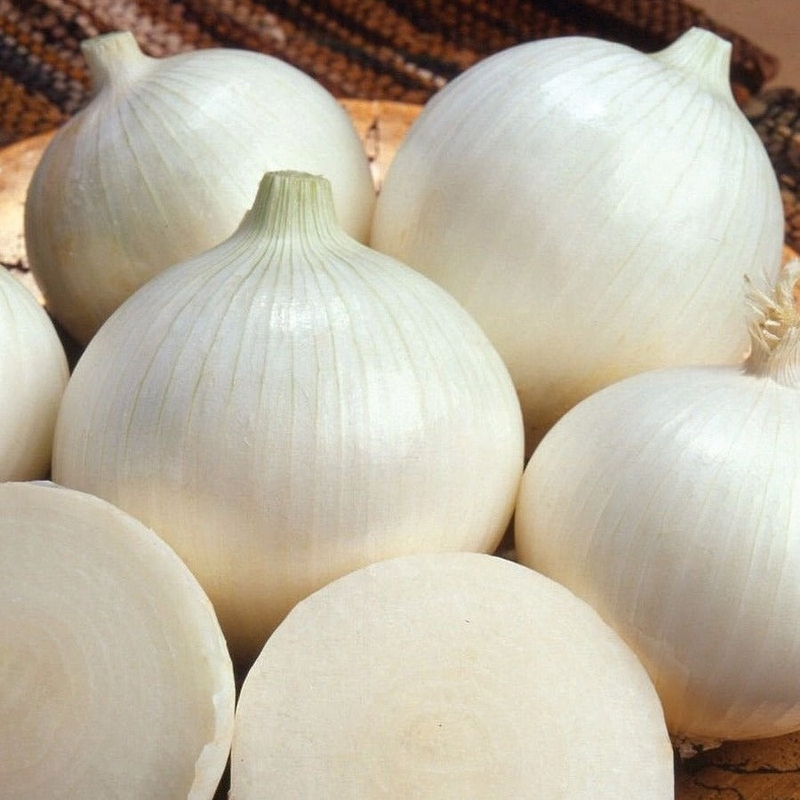 White Sweet Spanish Onion Seeds