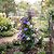 Vego Garden Plant Supports