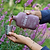 Organic Bio Fungicide