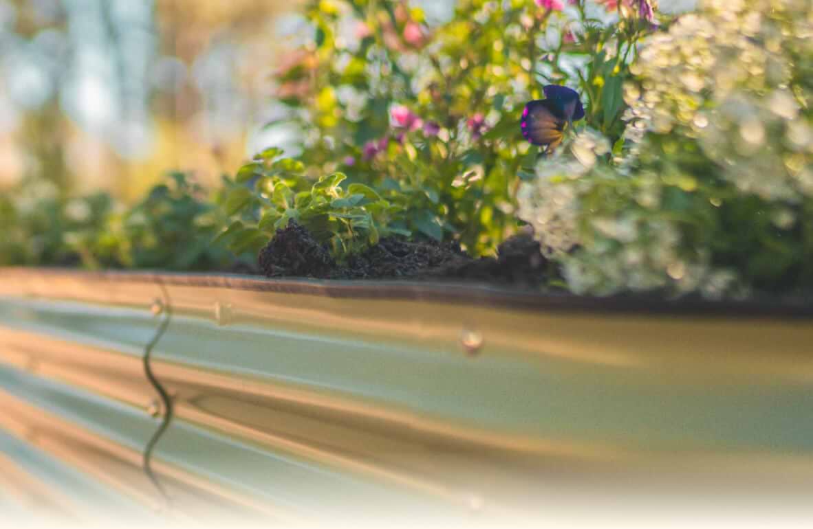 Vego garden beds