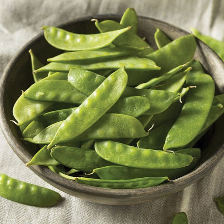 Mammoth Melting Snow Pea Seeds
