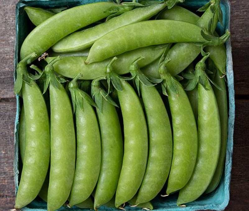 Sweet Gem Pea Seeds