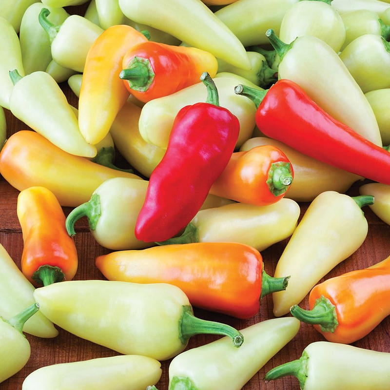 Santa Fe Grande Pepper Seeds