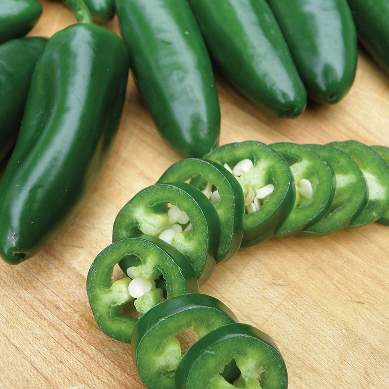 Jalapeno Early Pepper Seeds