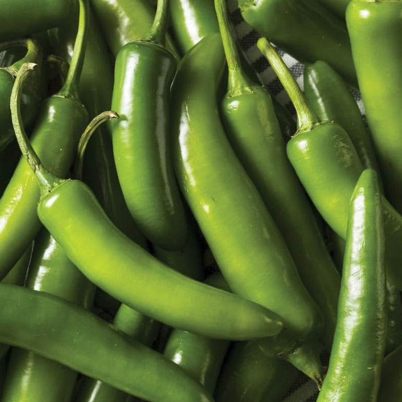 Serrano Tampiqueño Pepper Seeds