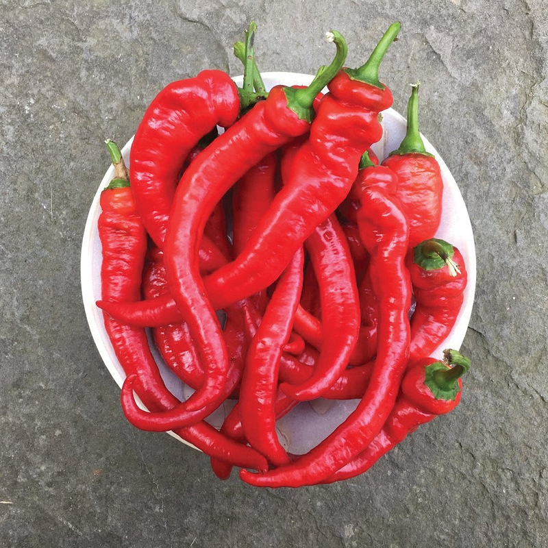 Jimmy Nardello Pepper Seeds