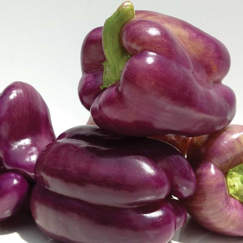 Purple Beauty Bell Pepper Seeds
