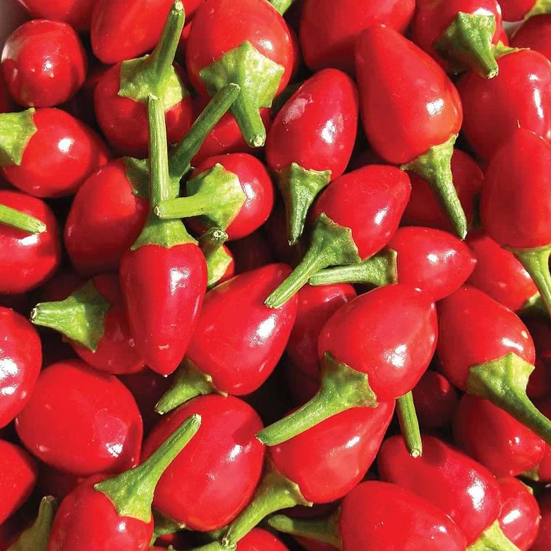 Chiltepin Pepper Seeds