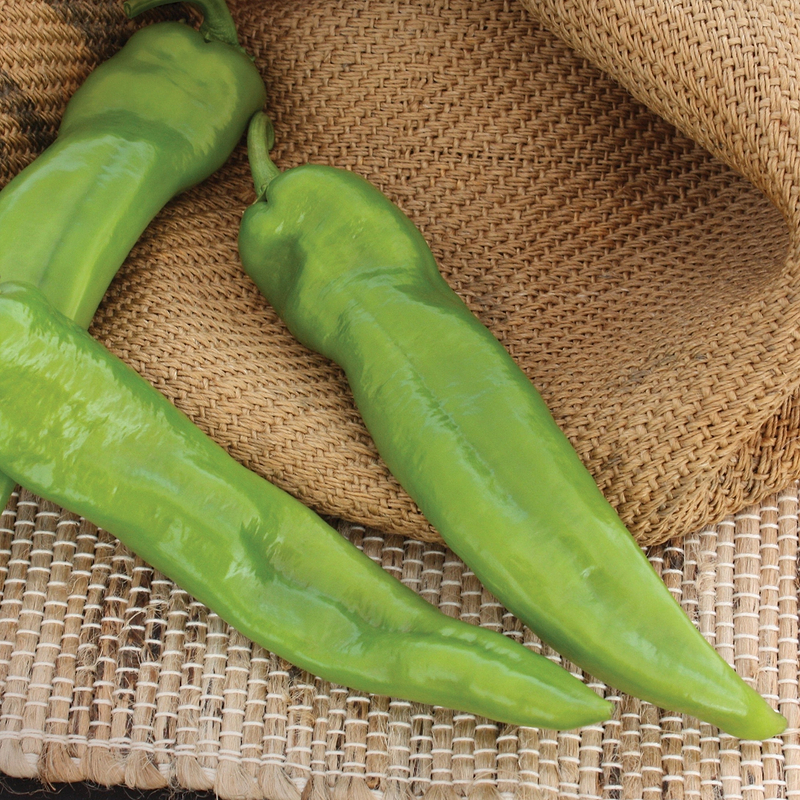 Anaheim Chili Pepper Seeds