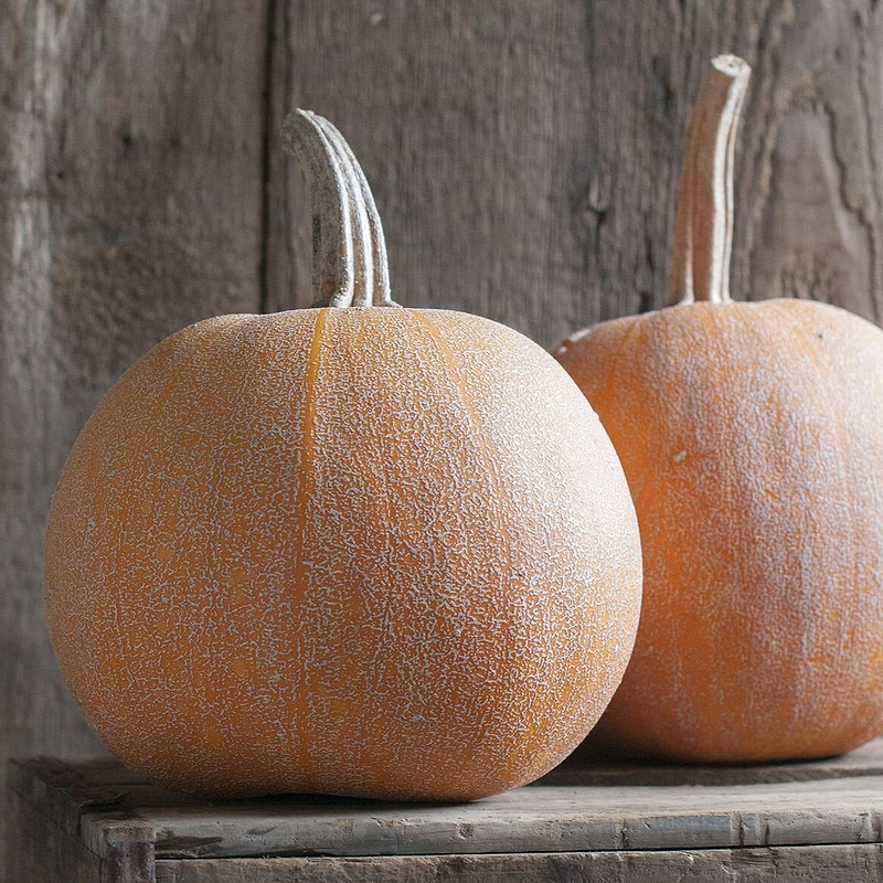Winter Luxury Pumpkin Seeds