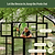 Vego Garden Pacific Greenhouse - 10.5 ft | Vego Garden