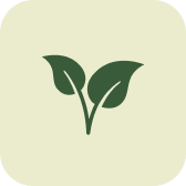 Perfect for Beginners