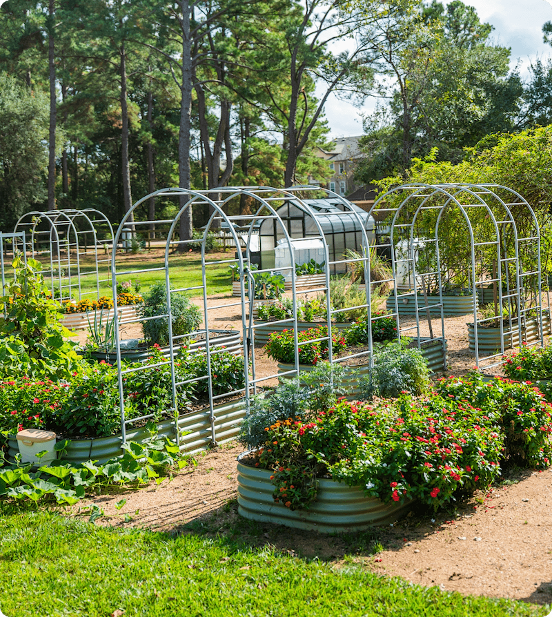 Vego garden beds