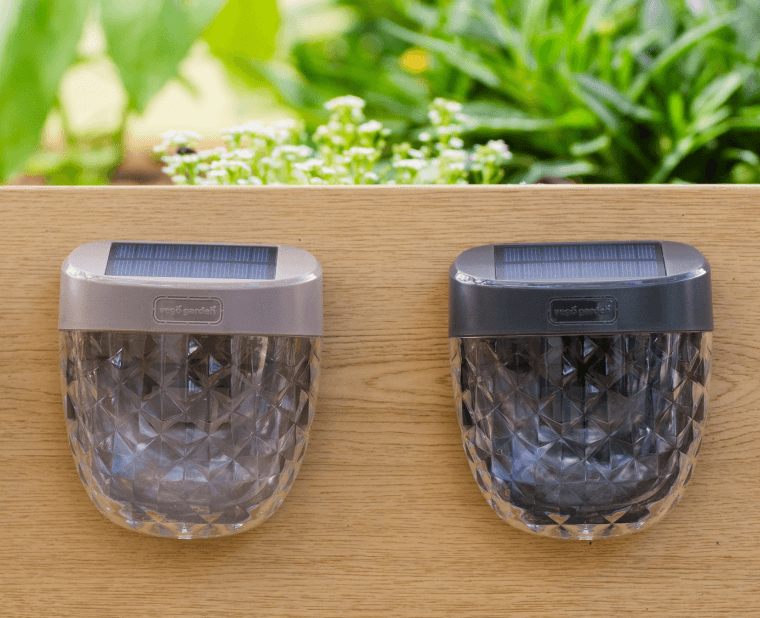 Vego garden beds
