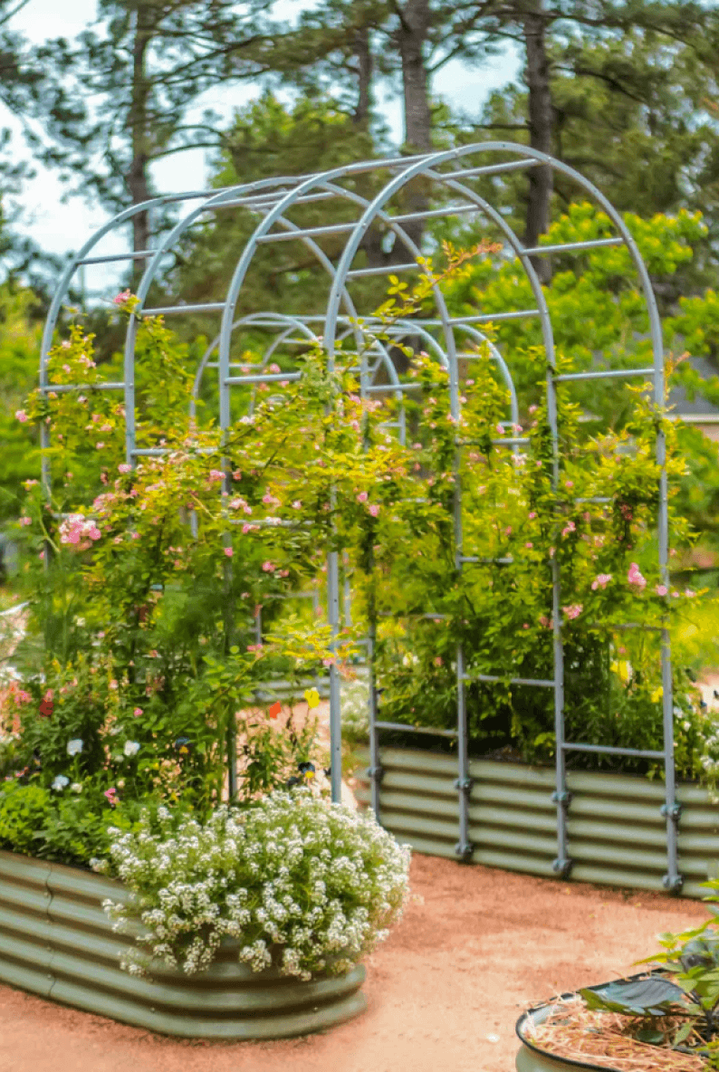Vego garden beds