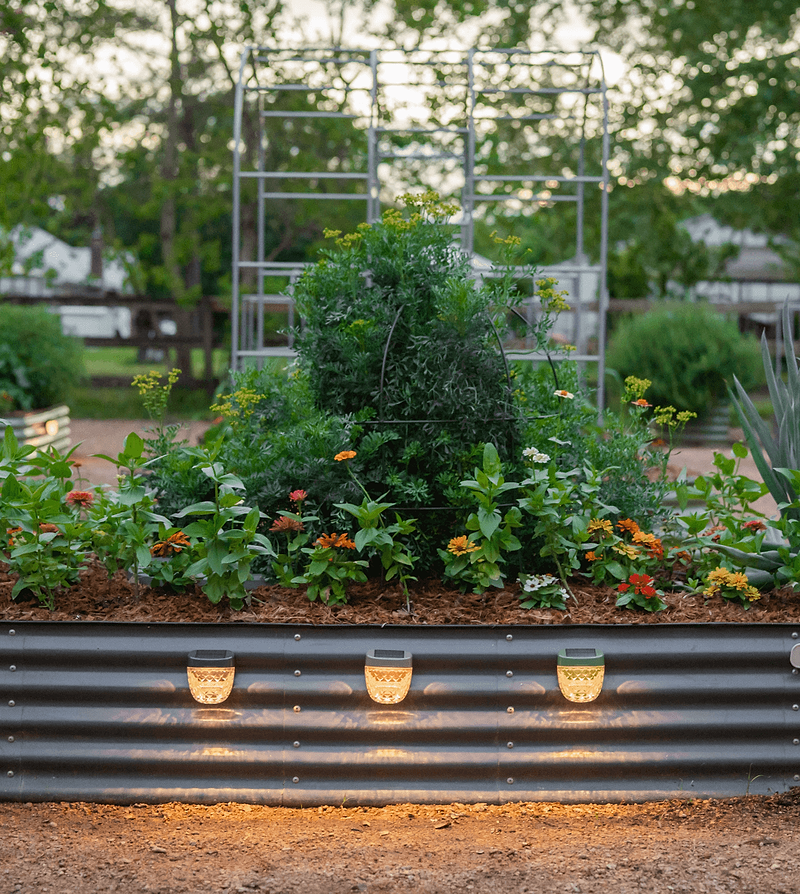 Vego garden beds