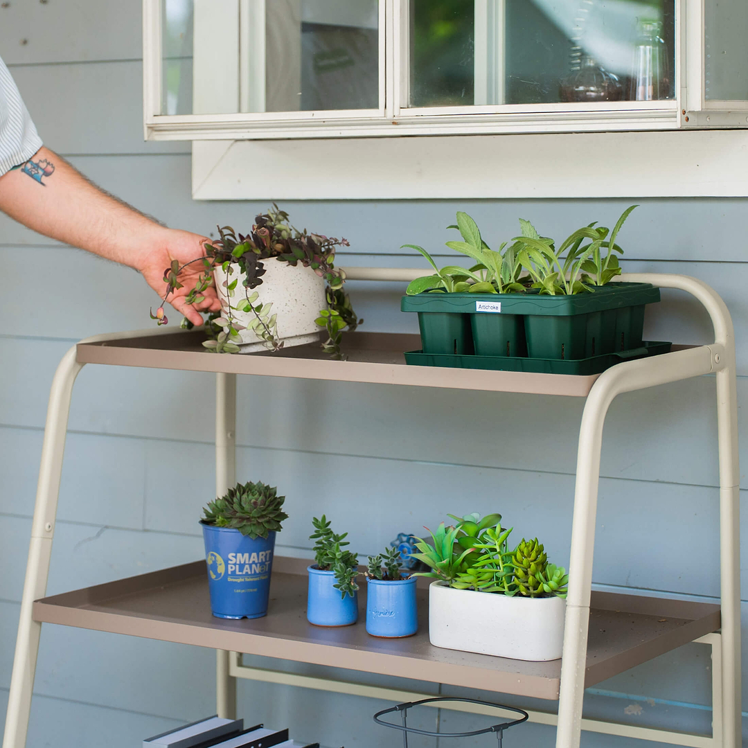 racks for plants 3-Tier Shelf Plant Stand - Compact Display Rack