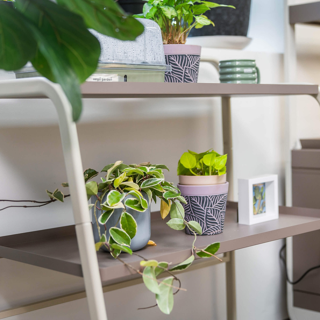 3-Tier Shelf Plant Stand - Compact Display Rack