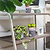 3-Tier Shelf Plant Stand