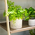 4-Tier Shelf Plant Stand | Vego Garden