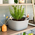 4-Tier Shelf Plant Stand | Vego Garden