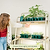 4-Tier Shelf Plant Stand | Vego Garden