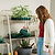4-Tier Shelf Plant Stand | Vego Garden