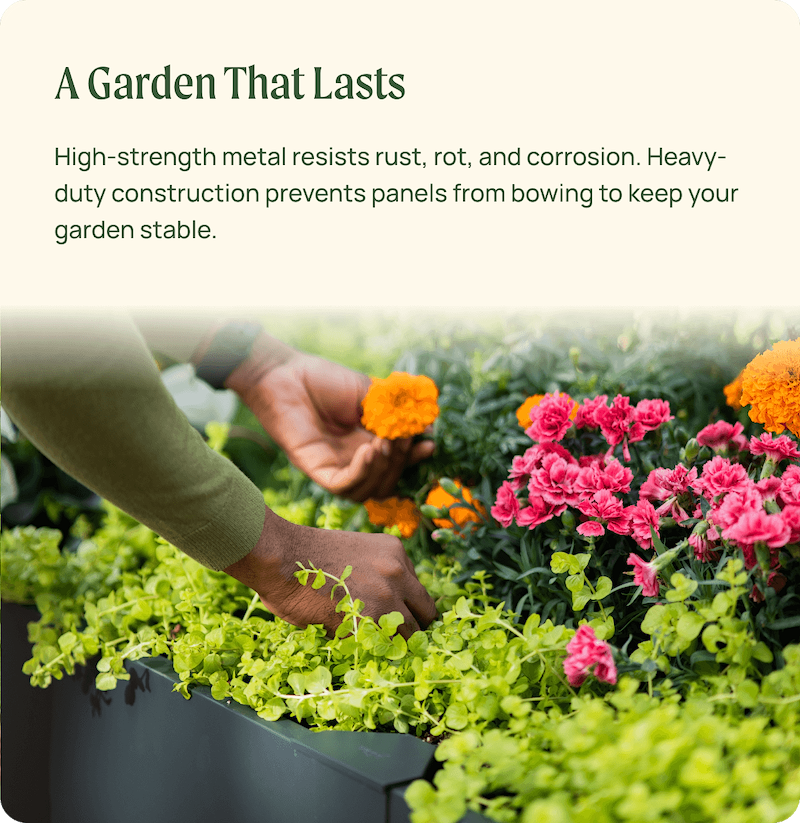 Vego garden beds