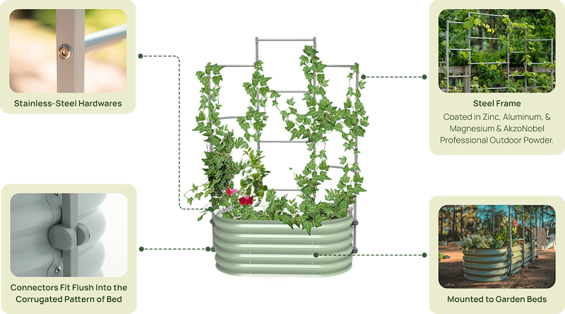 Vego garden beds