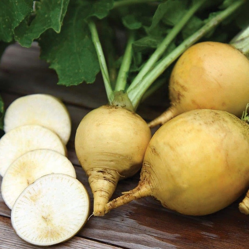 Golden Ball Turnip Seeds