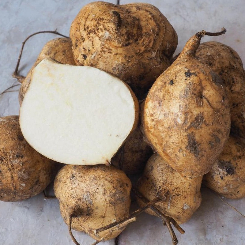 Jicama Seeds
