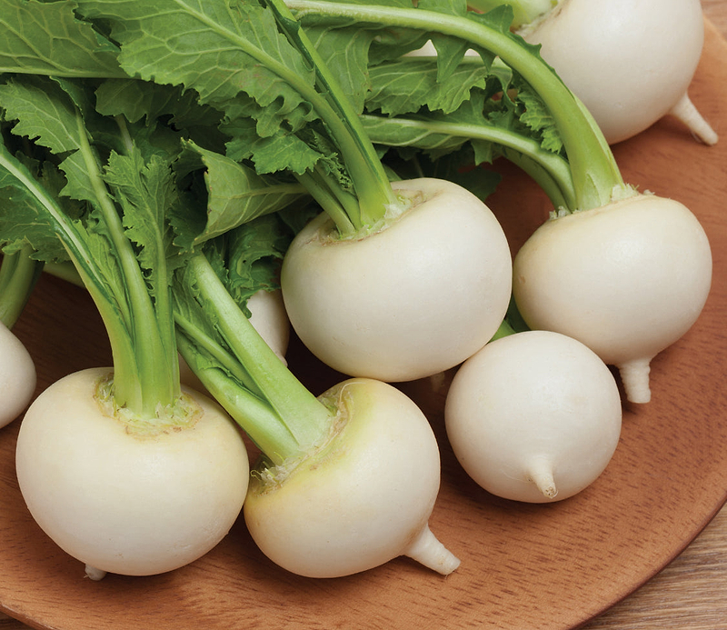 White Egg Turnip Seeds