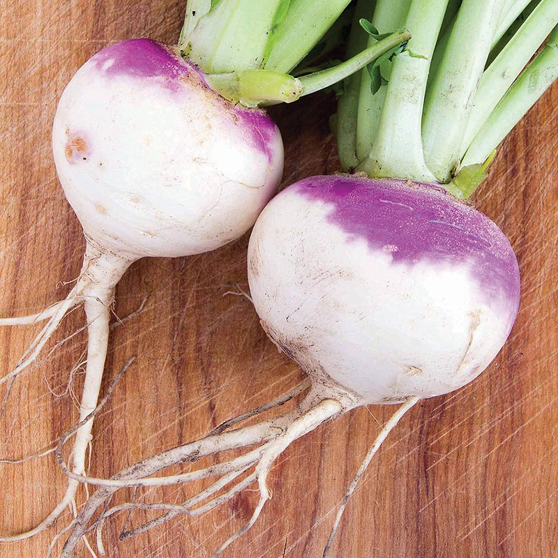 American Purple Top Rutabaga Seeds
