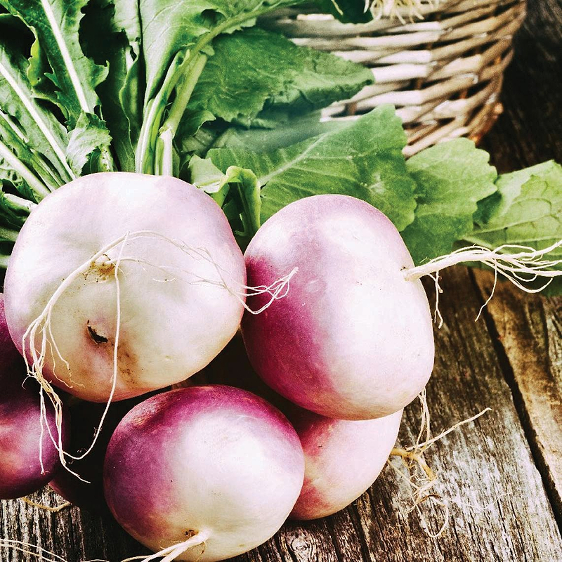 Purple White Globe Turnip Seeds