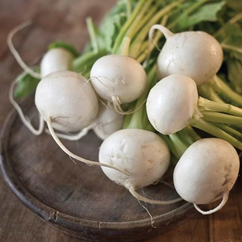 Shogoin Turnip Seeds